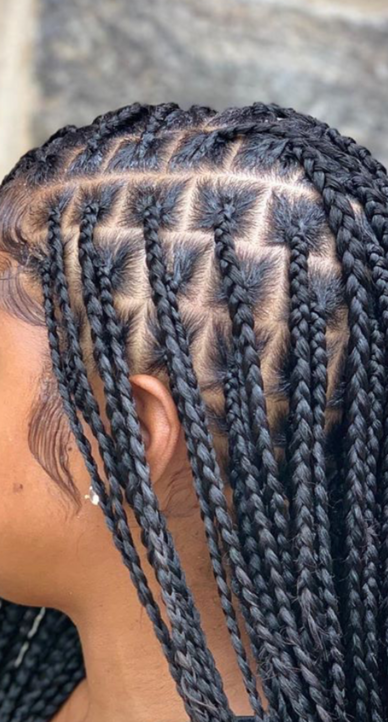 Knotless Braids (Medium)